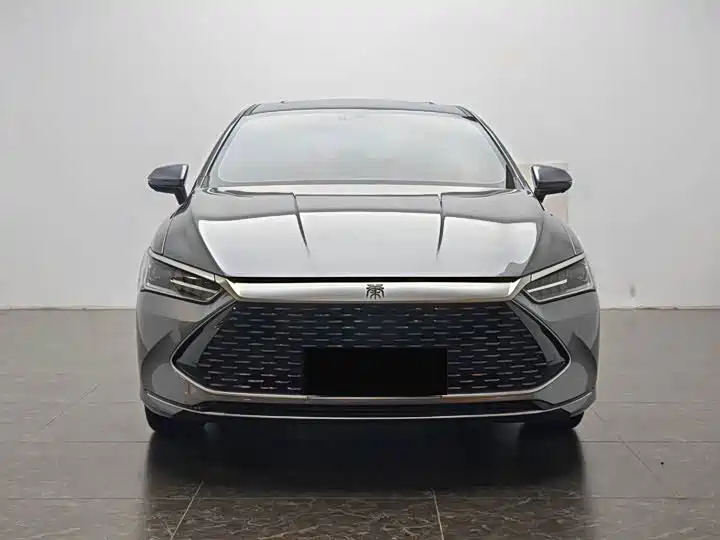 BYD Qin PLUS 2024 Glory Edition DM-i 55KM Surpass фото 2