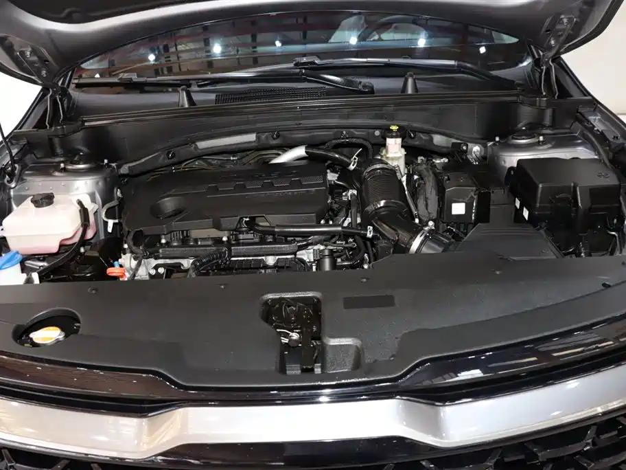 KIA LION PLATINUM EXPANDS THE WORLD