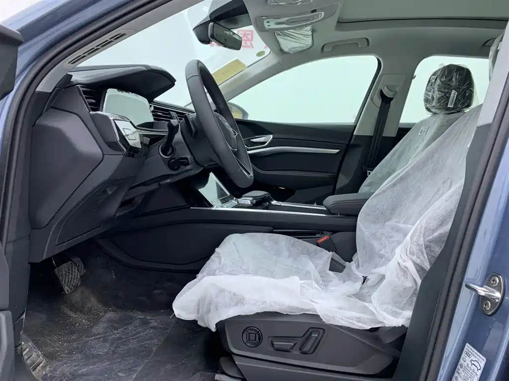 Audi e-tron 2021 50 quattro Luxury фото 11