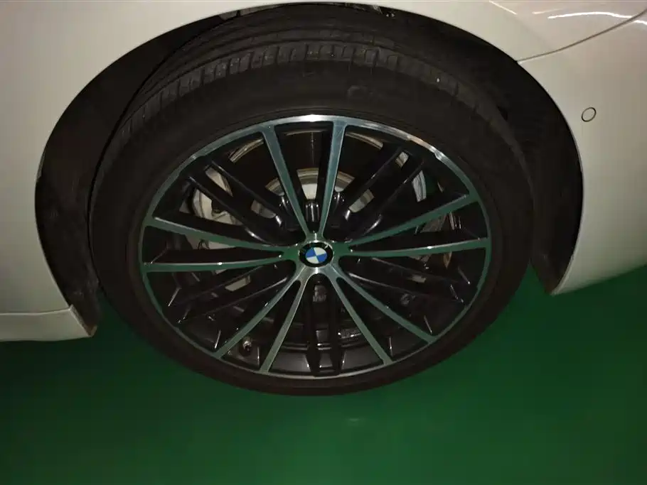 BMW 5 Series 2021 530Li Leading M Sport Package фото 6