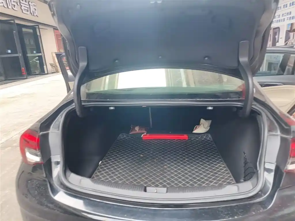 Buick Regal 2020 552T Elite фото 19