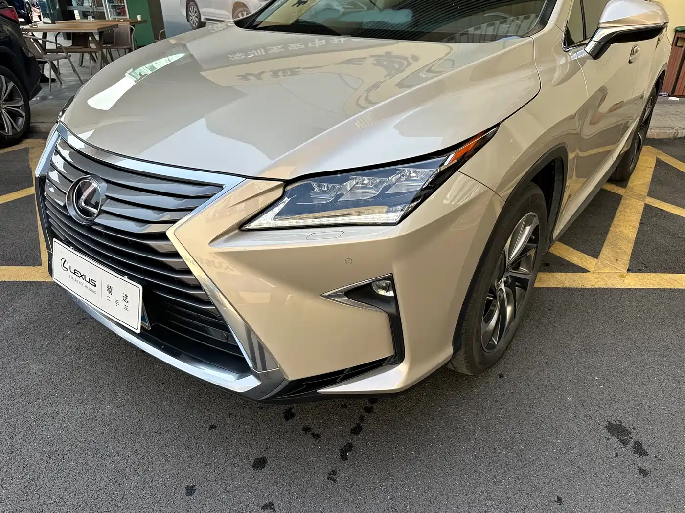 Lexus RX 2016 300 4WD Elegance Edition (China V) фото 2