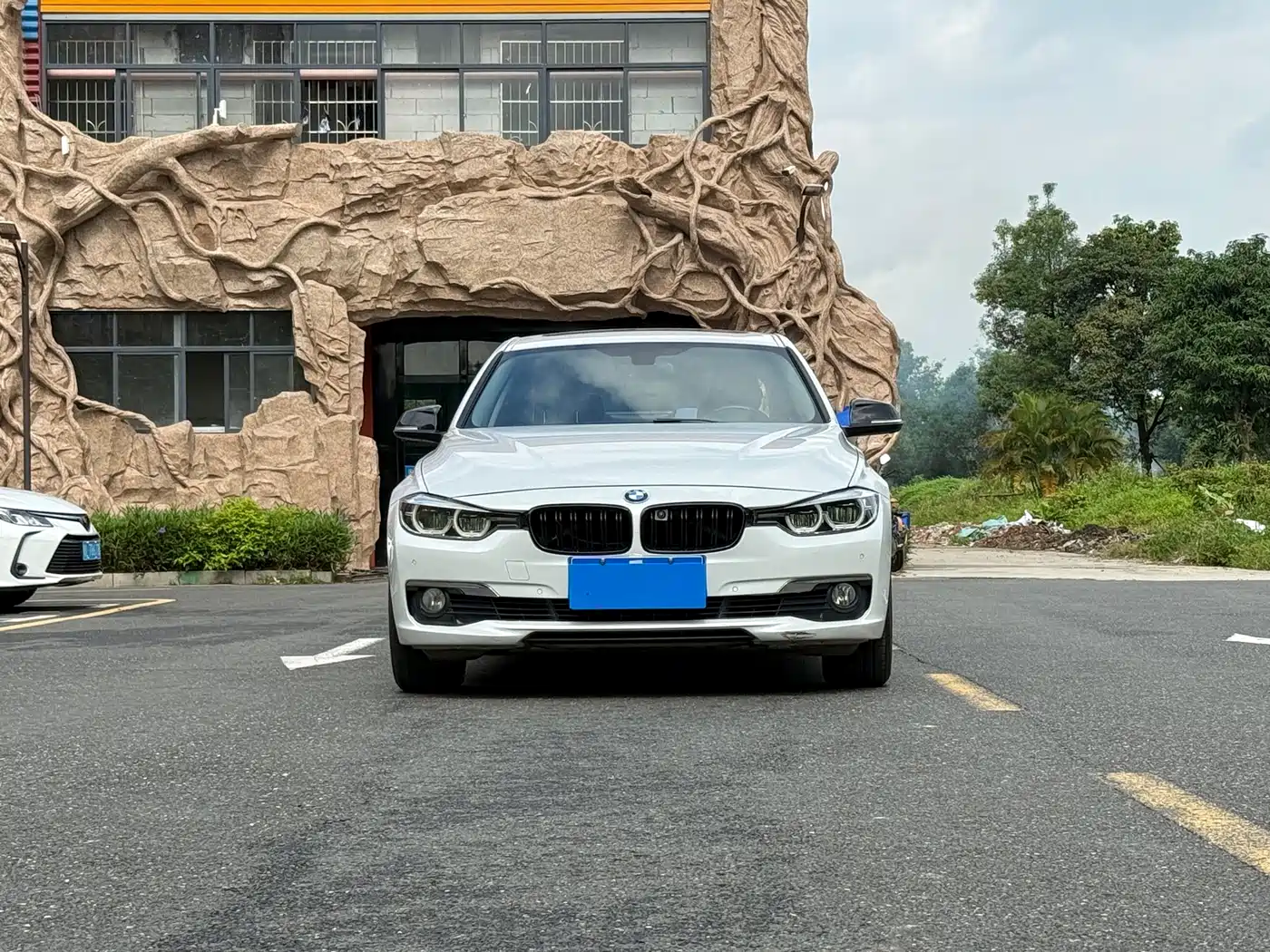 BMW 3 Series 2016 316Li Fashion фото 2