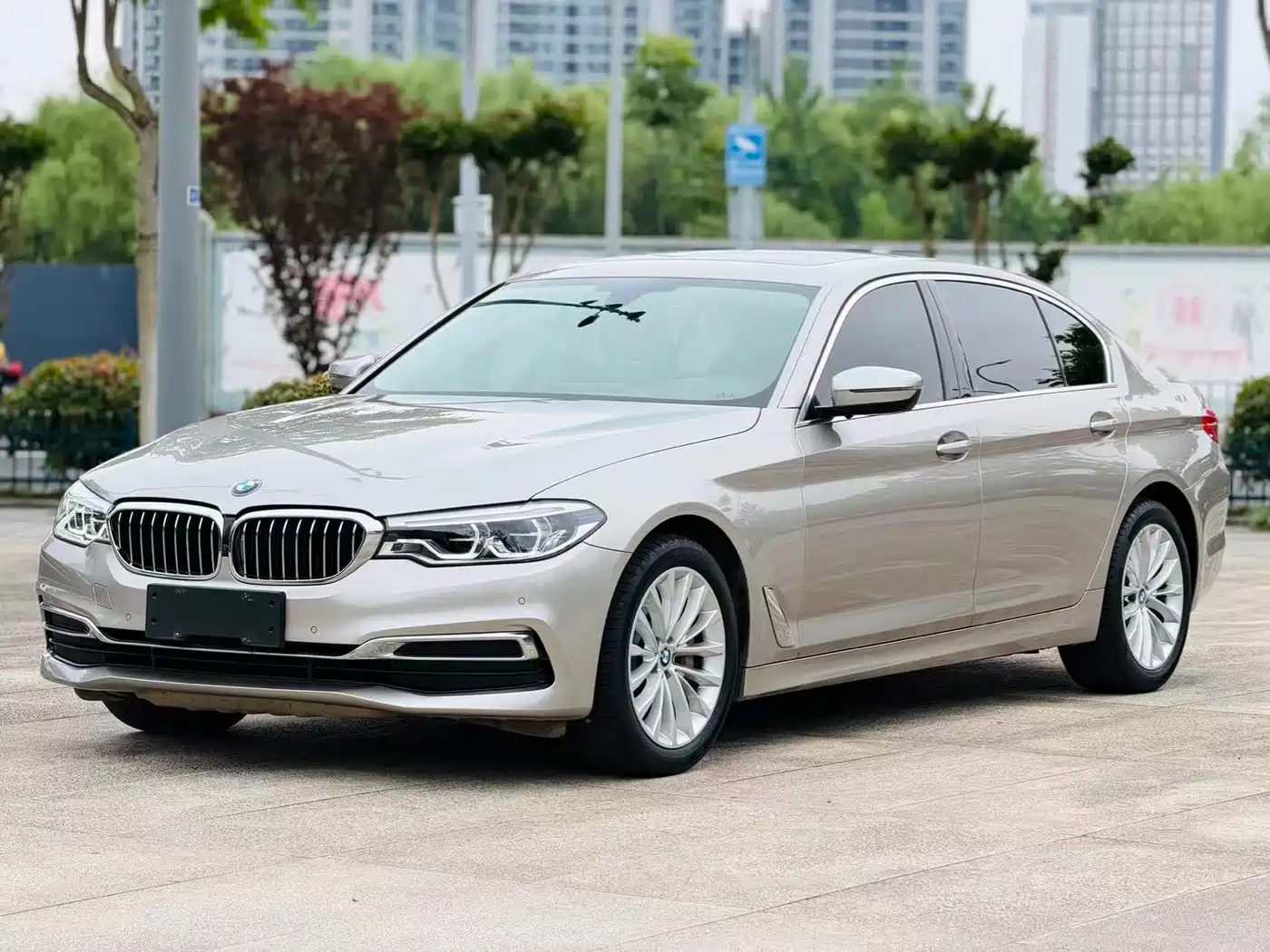 BMW 5 Series 2020 530Li Leading Luxury Package