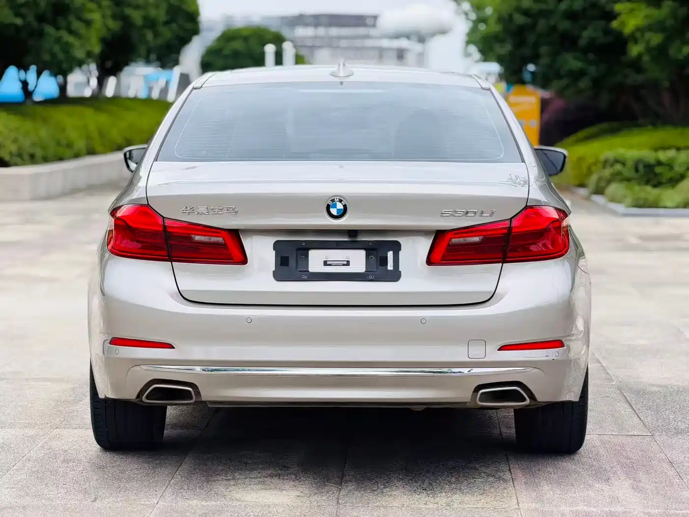 BMW 5 Series 2020 530Li Leading Luxury Package фото 9