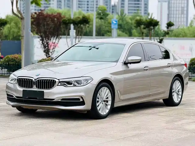 BMW 5 Series 2020 530Li Leading Luxury Package