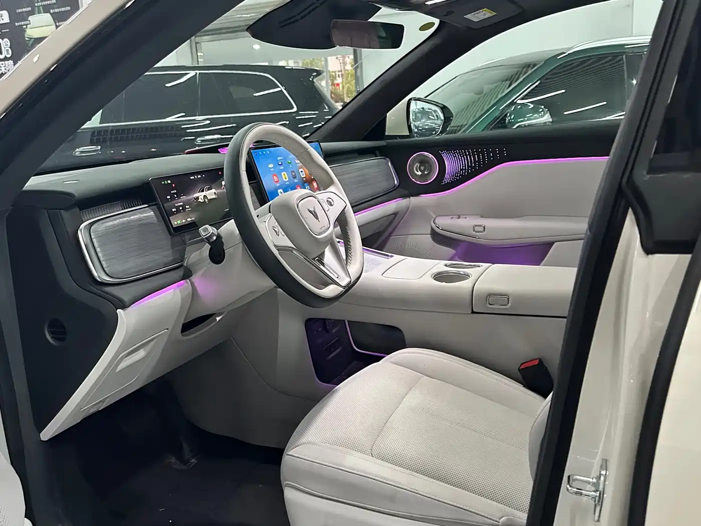 2025 Voyah Auto Voyah Zhiyin