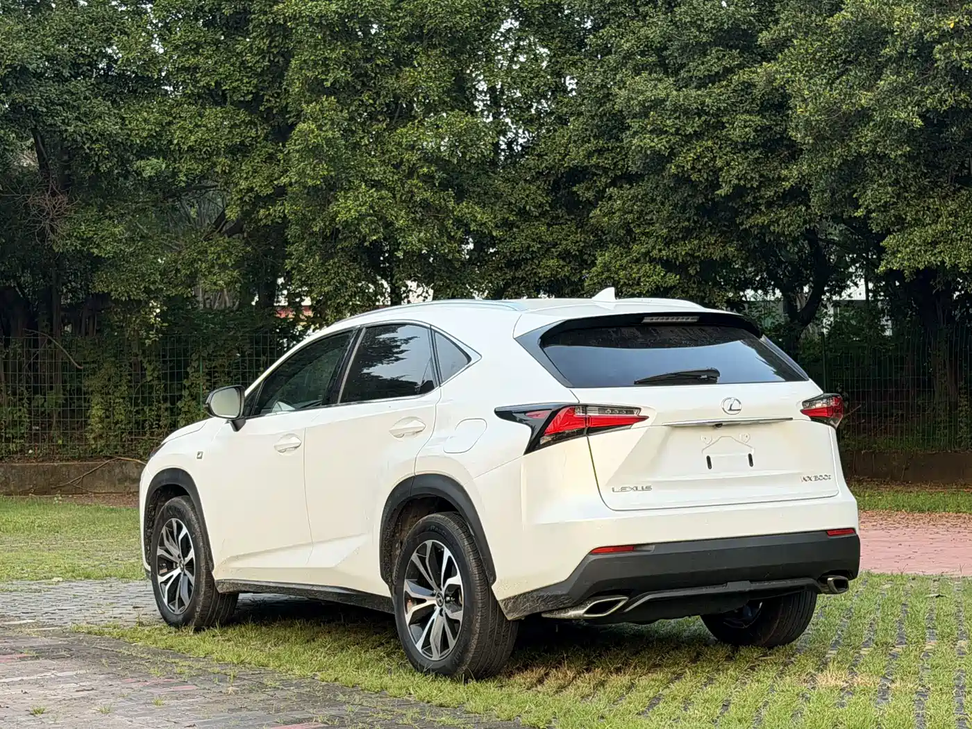 Фото 6 - Lexus NX