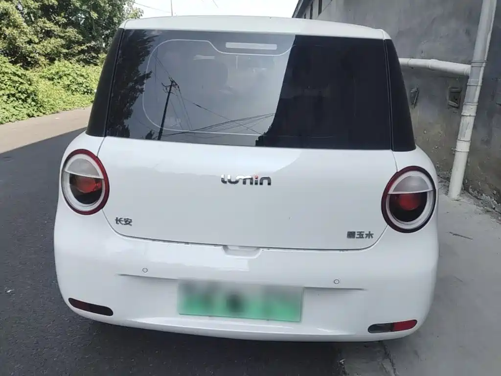 Фото 6 - Changan Lumin