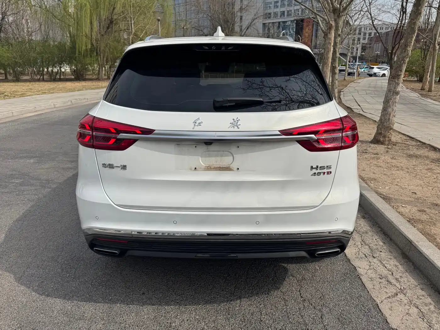 Hongqi HS5 2019 2.0T Smart Connect Enjoy Edition фото 3