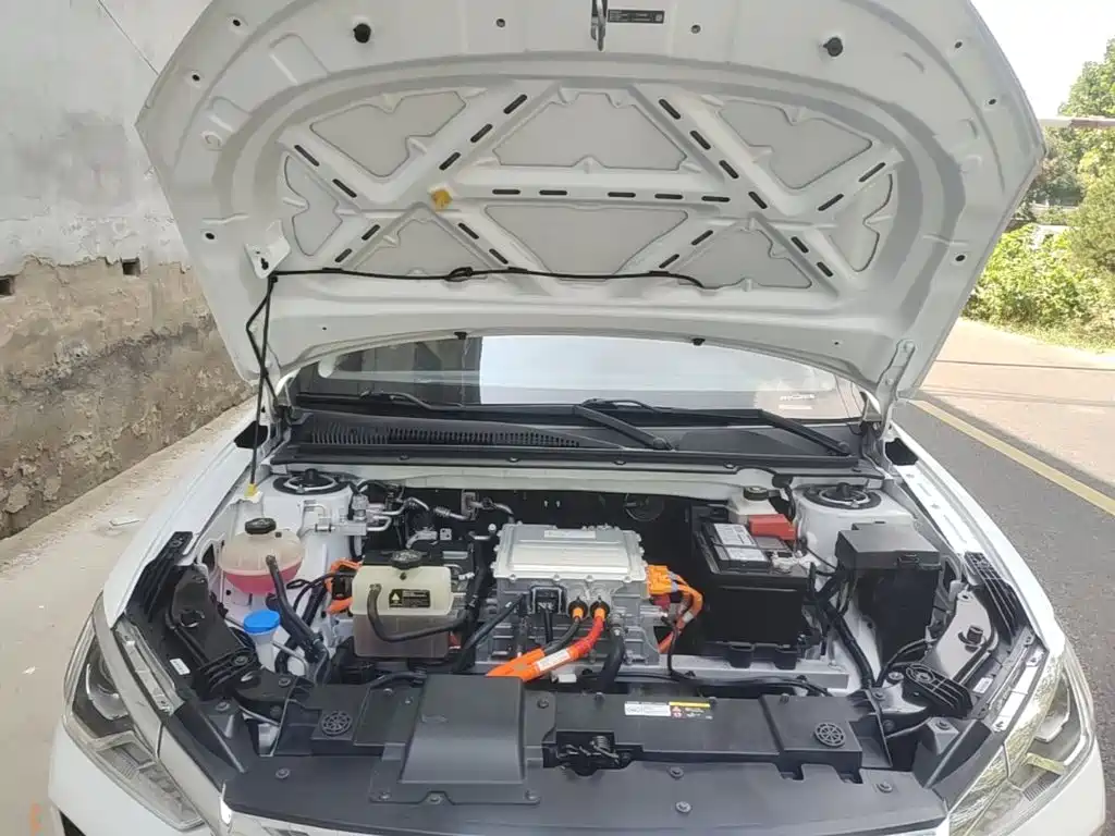 BYD e2 2021 2021 Standard