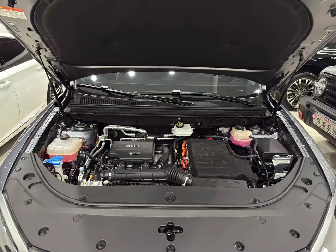 BYD SEA LION 05 DM I