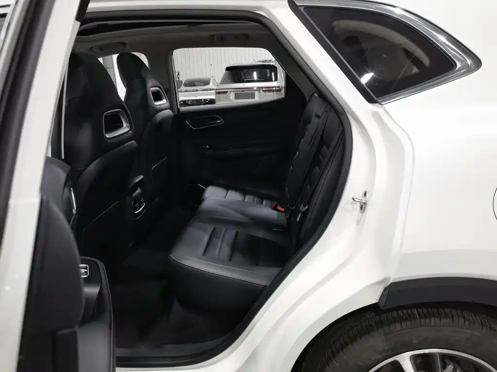 MG HS 2019 2018 20T Auto 2WD Hormone Excitement Edition (China V)