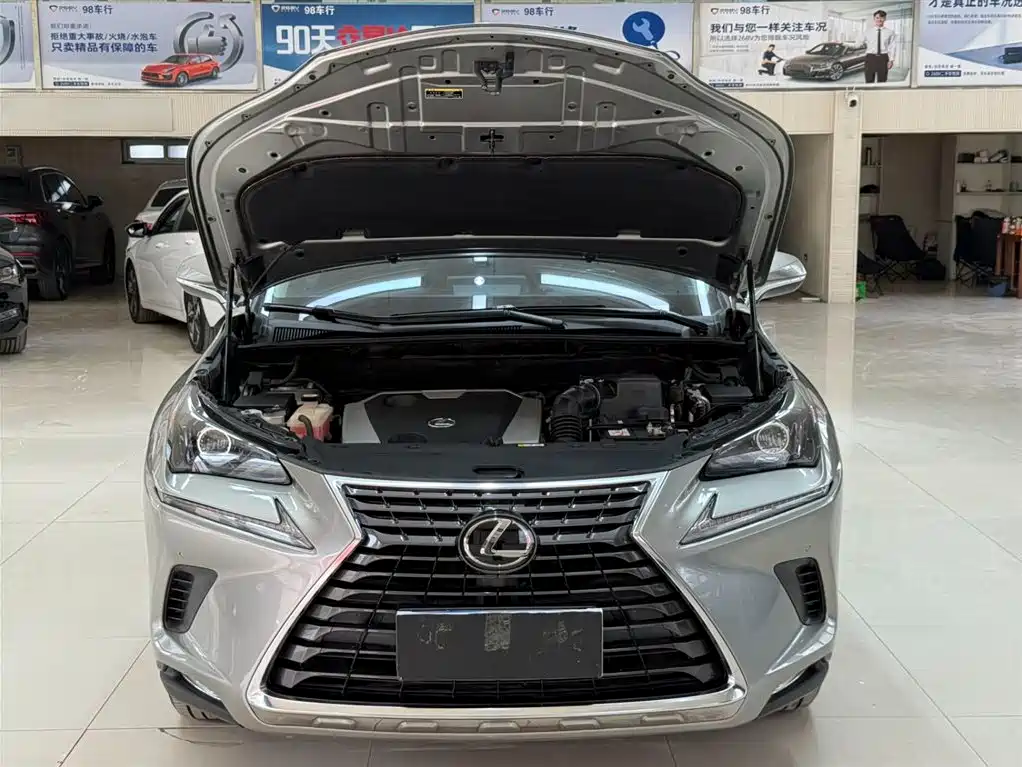 Lexus NX 2020 200 AWD F Sport China VI фото 7