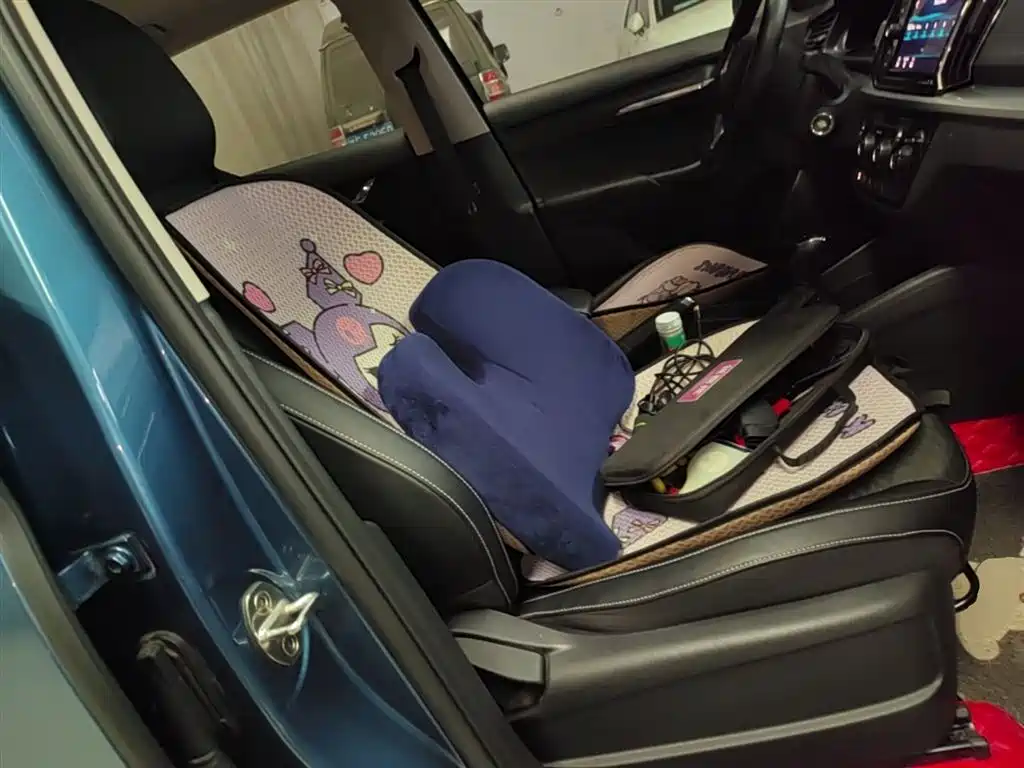 Škoda Kamiq 2018 1.5L Automatic Comfort Version China VI фото 25