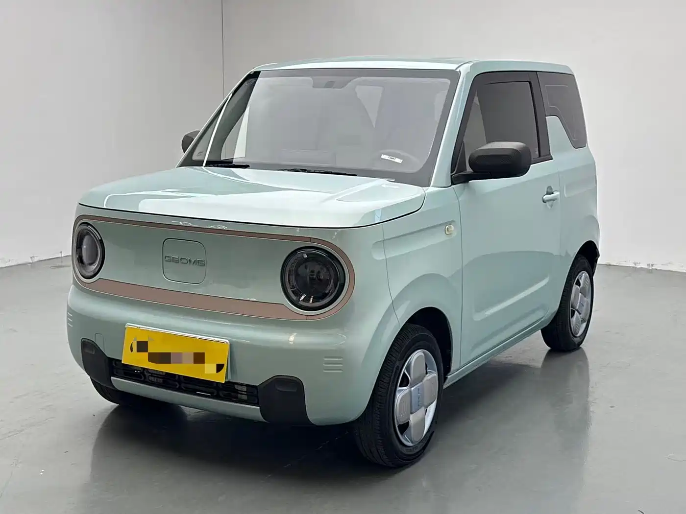 Geely Galaxy Panda 2023 2023 Panda Mini 200km Endurance Bear