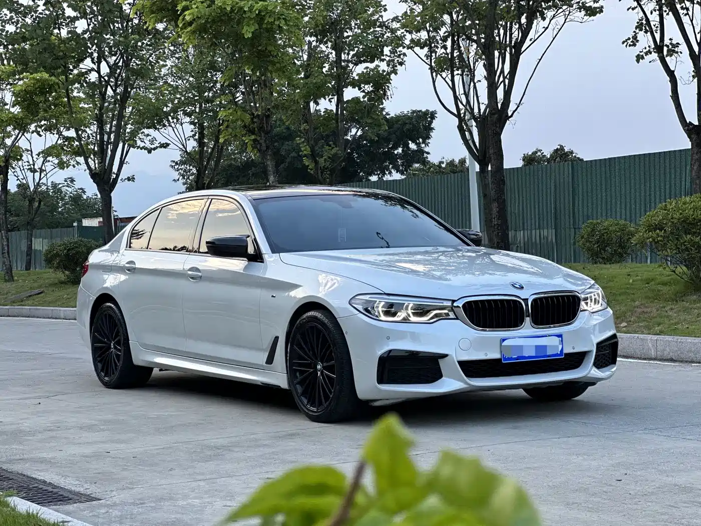 BMW 5 Series 2019 530Li Premium M Sport Package фото 3