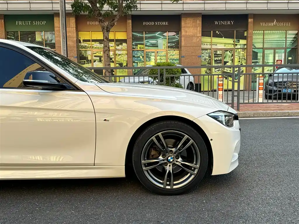 BMW 3 Series 2019 320Li M Sport Black Night Edition фото 4