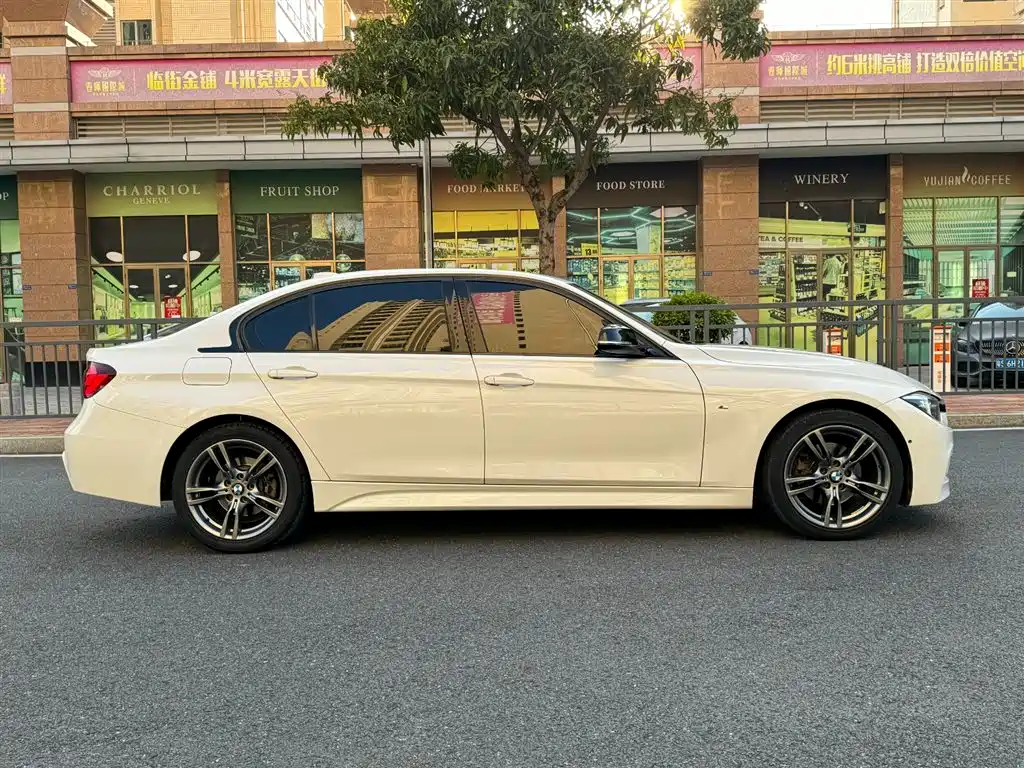 BMW 3 Series 2019 320Li M Sport Black Night Edition фото 6