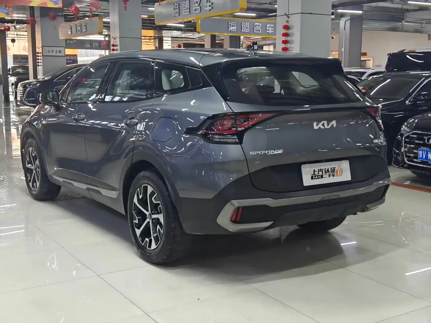 KIA LION PLATINUM EXPANDS THE WORLD