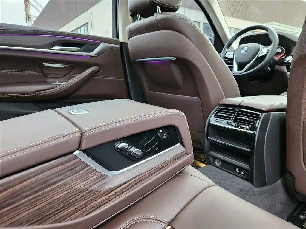 BMW 5 Series 2020 530Li Leading Luxury Package фото 17