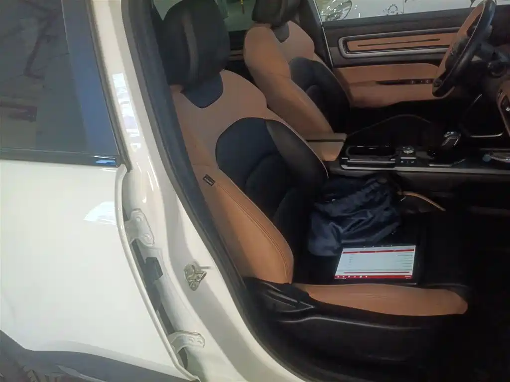 Geely ICON 2023 2023 1.5TD Protagonist