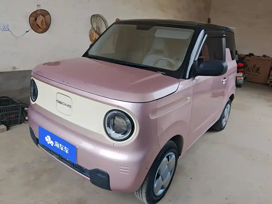 Geely Galaxy Panda 2023 Panda Mini 200km Endurance Bear