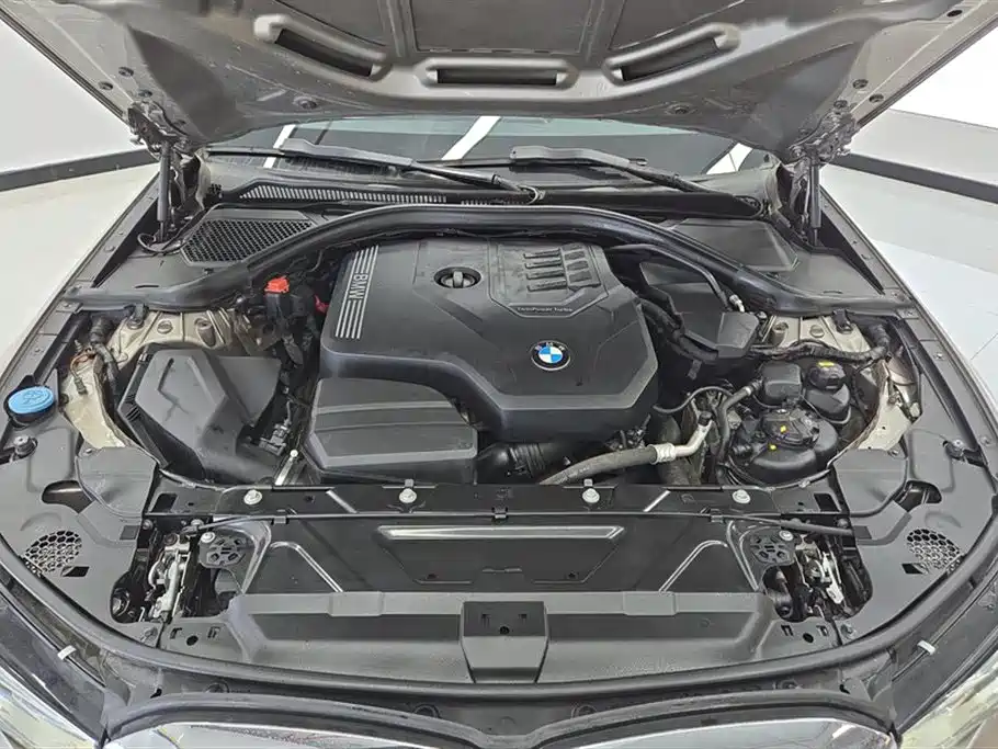 BMW 3 Series 2020 325Li Launch Edition фото 10