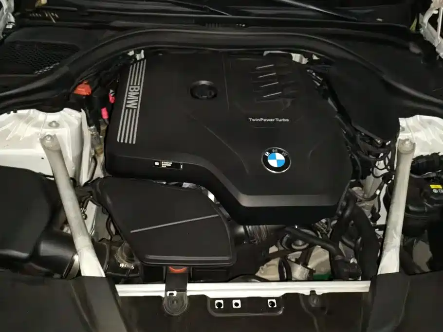 BMW 5 Series 2021 530Li Leading M Sport Package фото 10
