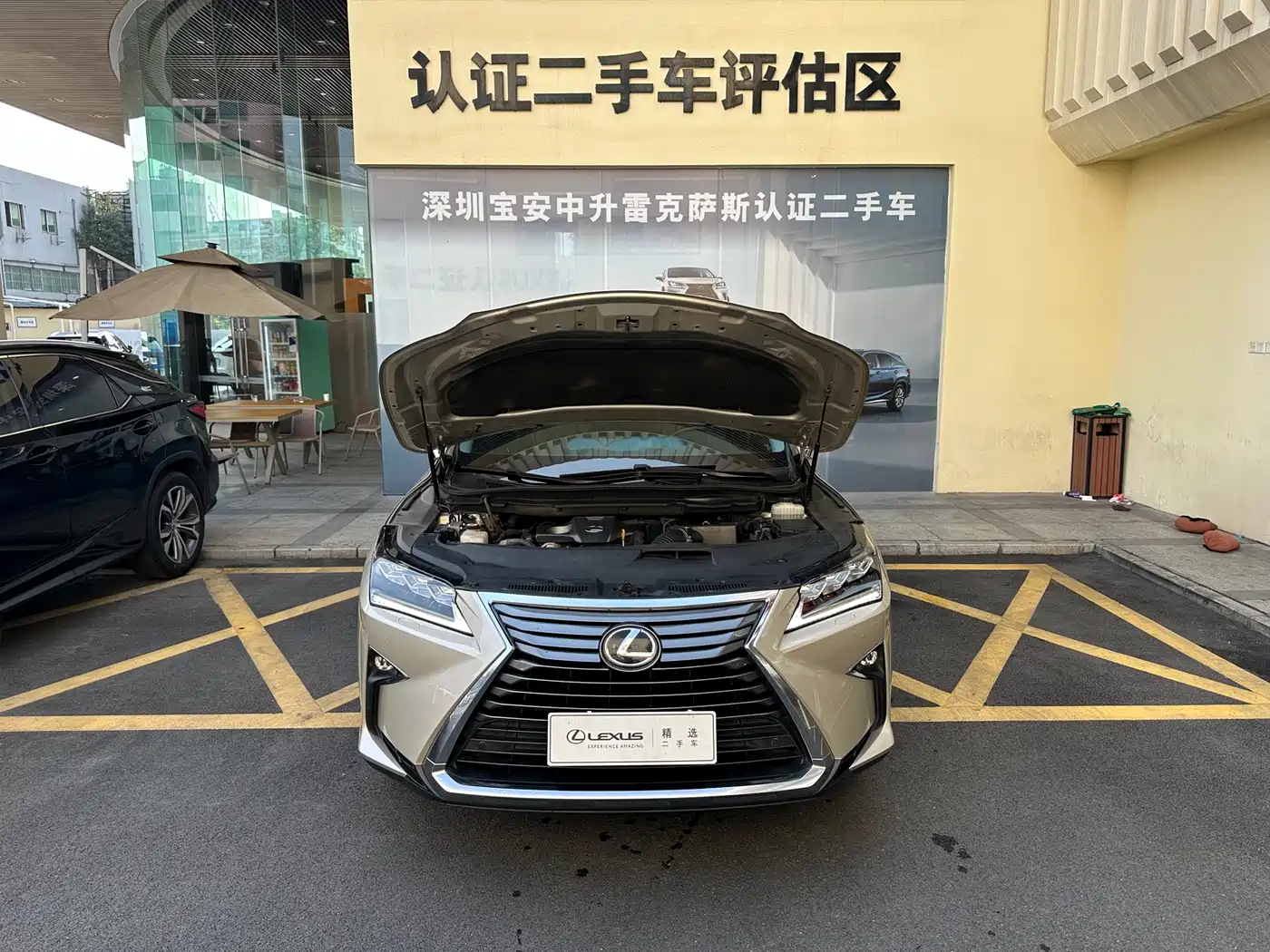 Lexus RX 2016 300 4WD Elegance Edition (China V) фото 5