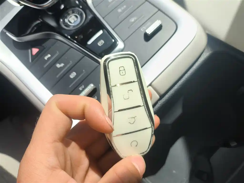 BYD Song Pro New Energy 2024 Glory Edition DM-i 110KM Excellence фото 9