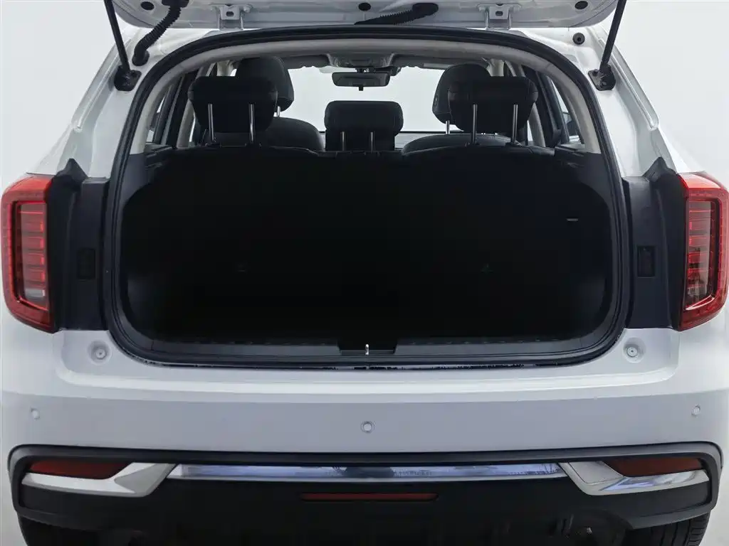 Haval First Love 2021 1.5T Automatic Junior Edition фото 16
