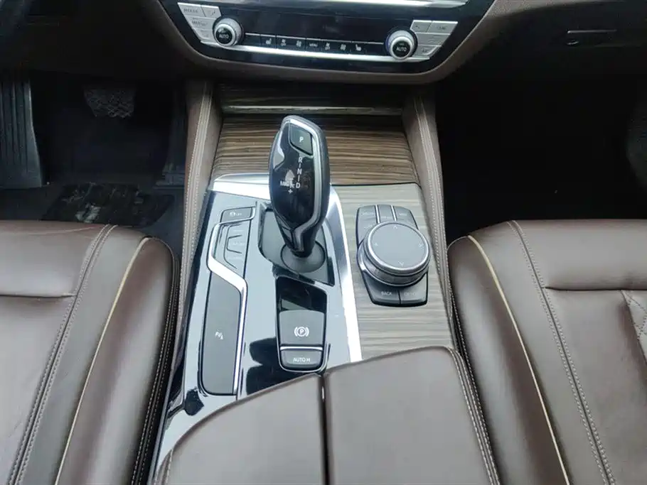 BMW 5 Series 2019 530Li Leading Luxury Package фото 16