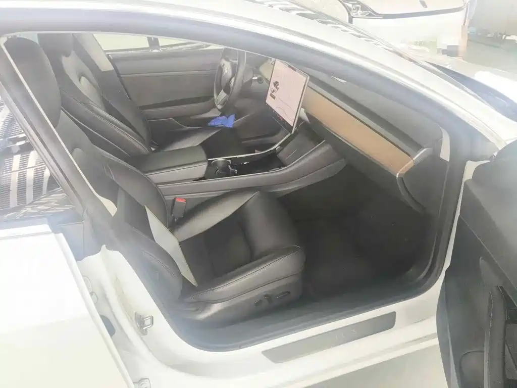 Tesla Model 3 2020 2019 Standard Range Rear-Wheel Drive Upgrade