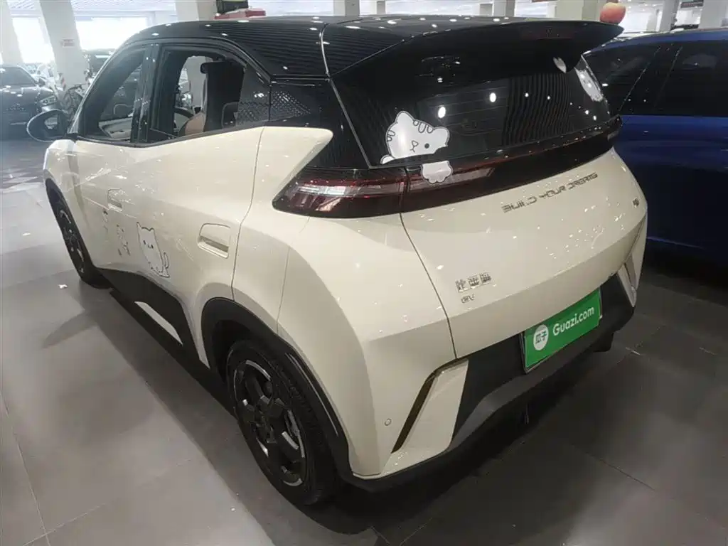 BYD Seagull 2024 Glory Edition 305km Freedom Edition фото 5