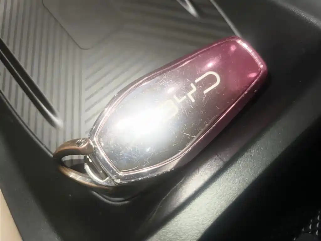 BYD Seagull 2024 Glory Edition 305km Freedom Edition фото 9