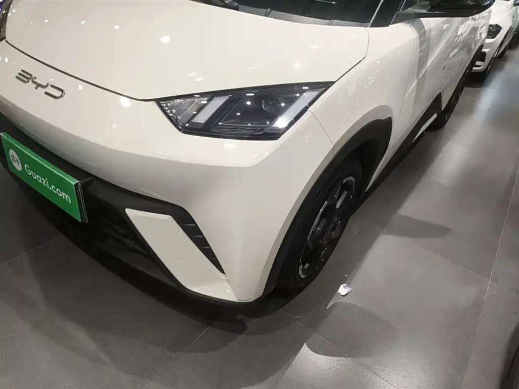 BYD Seagull 2024 Glory Edition 305km Freedom Edition фото 24
