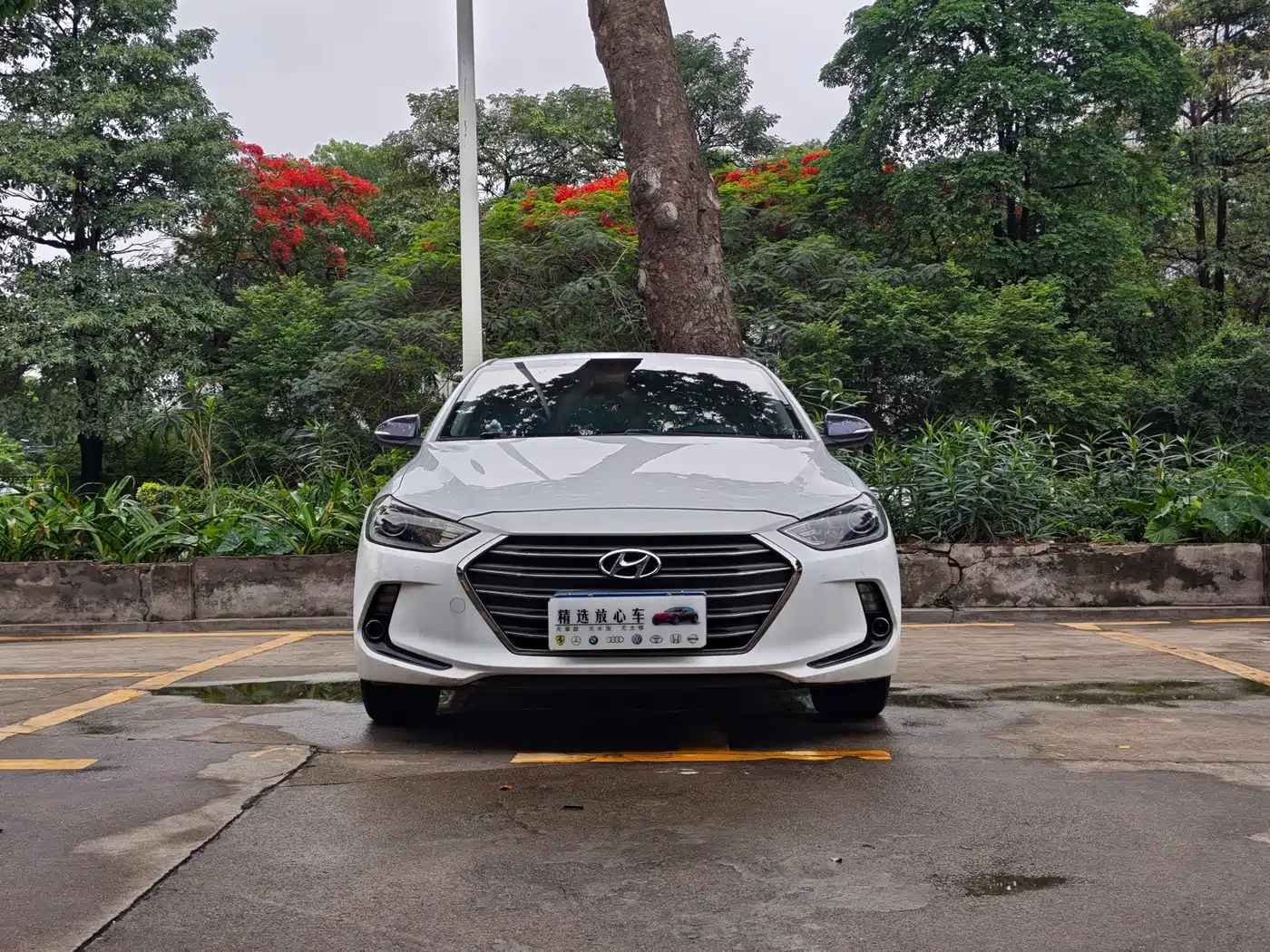 Hyundai Elantra 2016 Model 1.6L Automatic Smart Elite фото 2