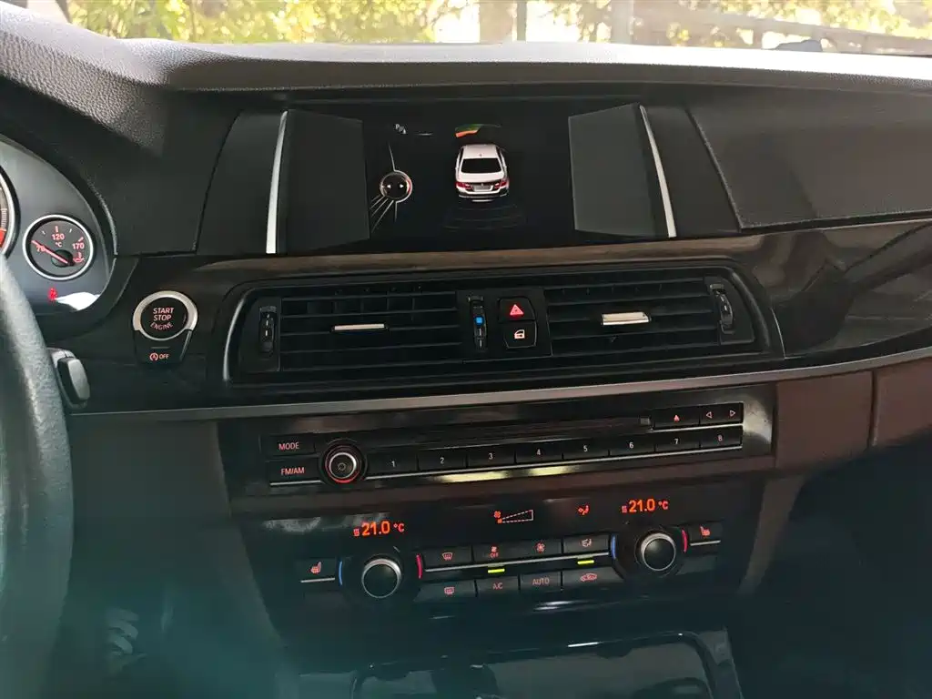 BMW 5 Series 2014 525Li Leading фото 13