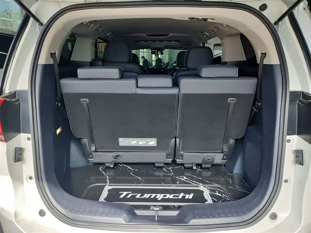 GAC Trumpchi Trumpchi M8 2021 Leading Show Series 390T Premium Edition фото 15