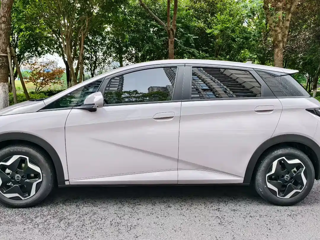 BYD Dolphin 2021 Model 405km Fashion Edition фото 3