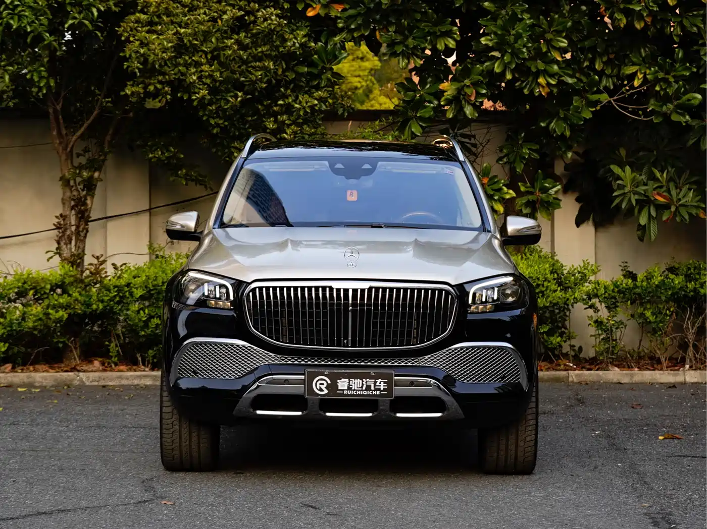 Mercedes-Benz Maybach GLS 2021 GLS 480 4MATIC фото 2