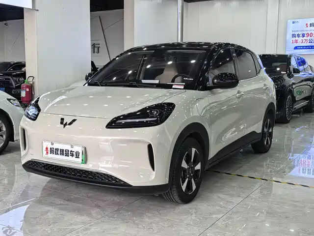Wuling Motors Wuling Binguo PLUS 2024 Model 330km 5-Seater