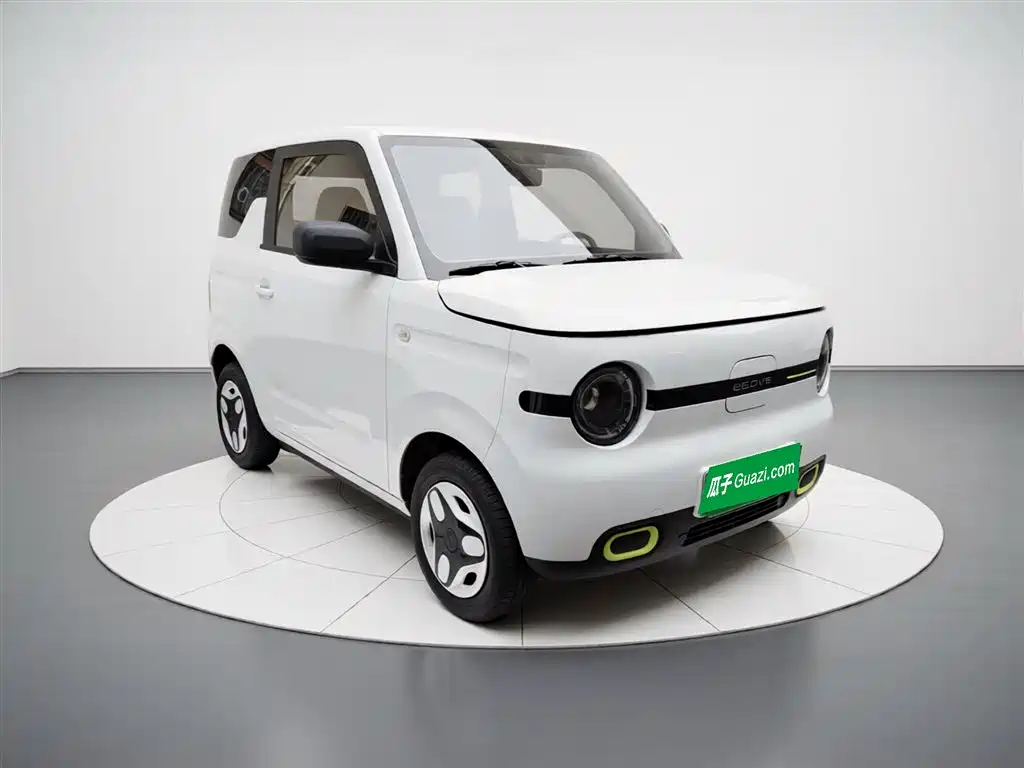 Geely Galaxy Panda 2025 Panda mini 210km Vitality Bear фото 26