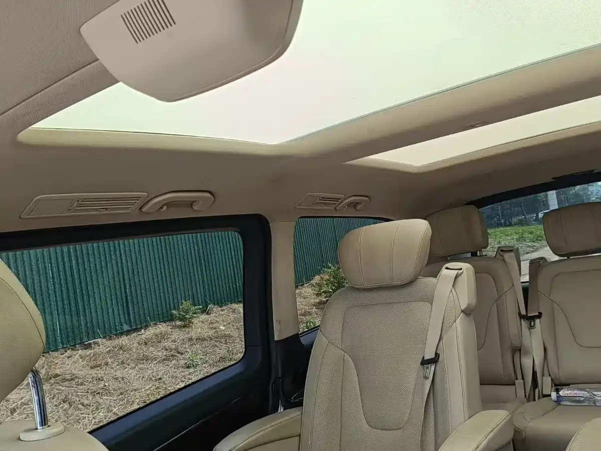 Mercedes-Benz V-Class 2018 V 260 L Premium Long Version China V фото 4