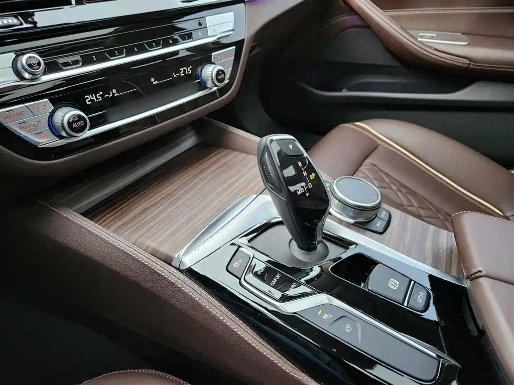BMW 5 Series 2020 530Li Leading Luxury Package фото 10