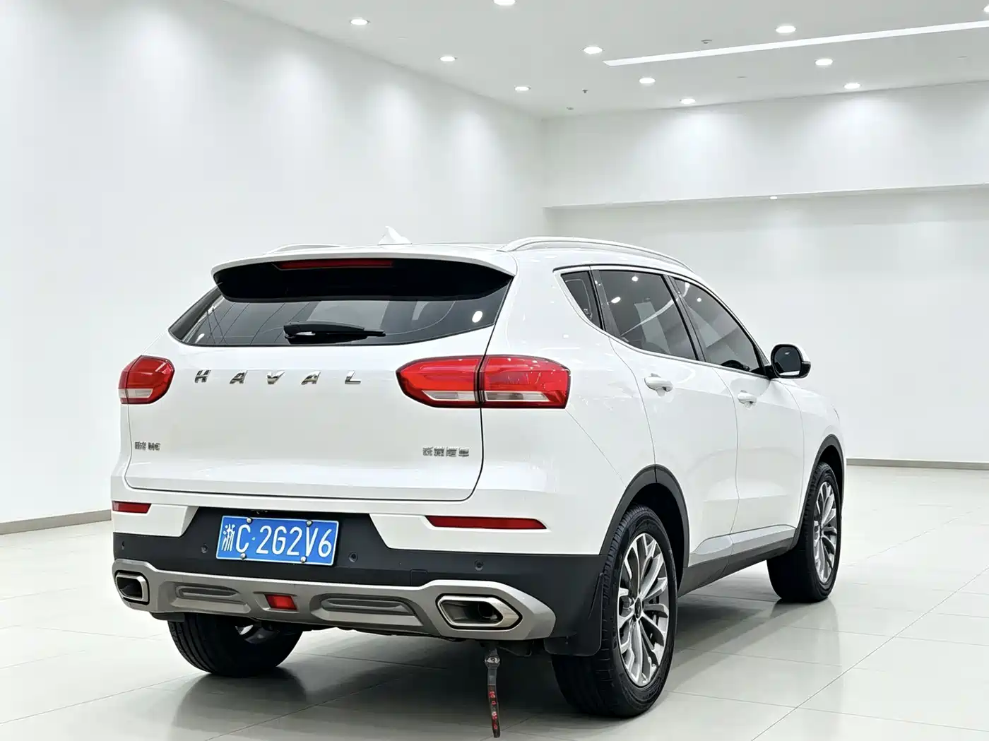 Haval H6 2020 1.5GDIT Automatic Platinum Luxury Edition фото 9