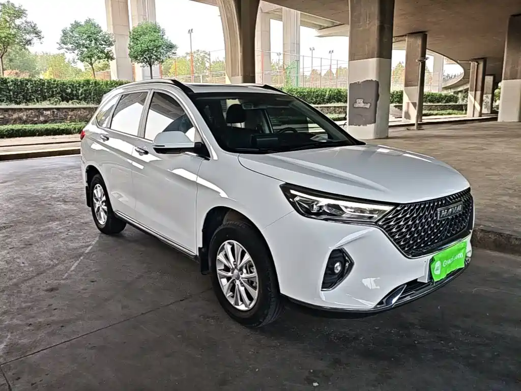 Фото 4 - Haval M6
