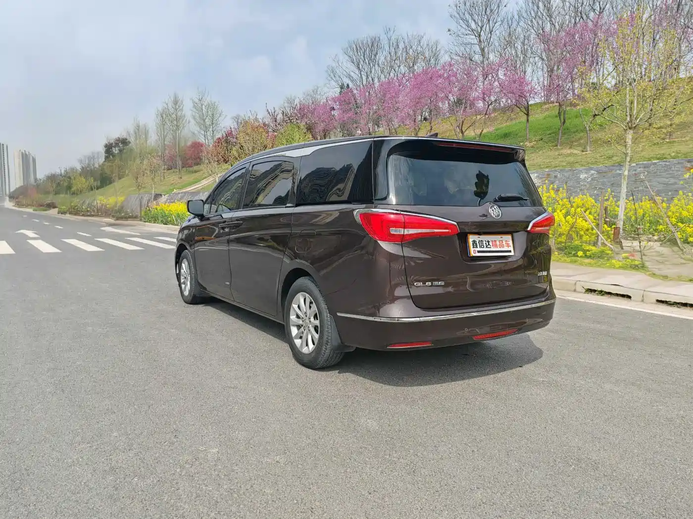 Buick GL8 2017 ES 28T Premium China V фото 16