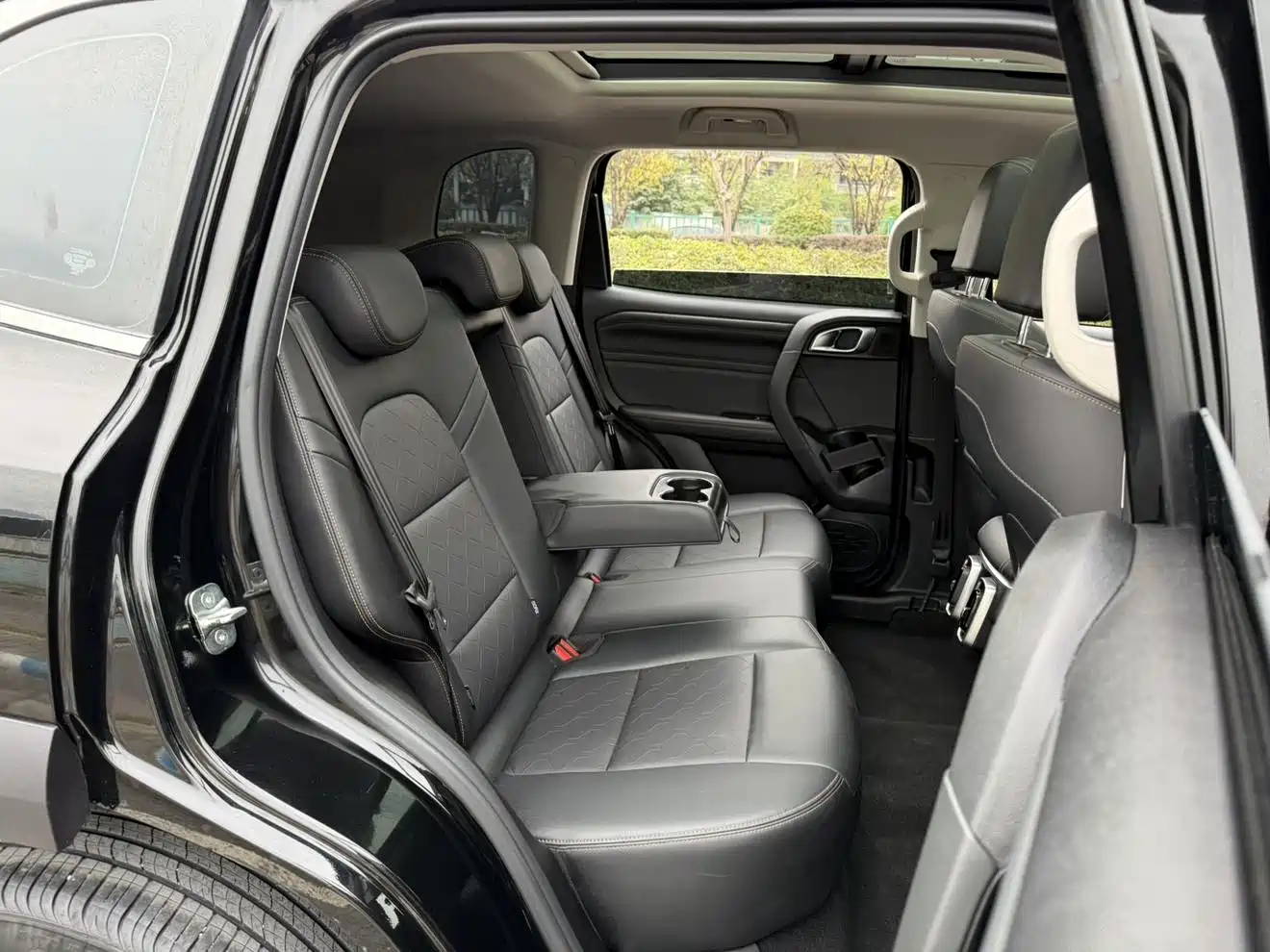 Haval Big Dog 2024 1.5T DCT Border Collie Edition фото 18